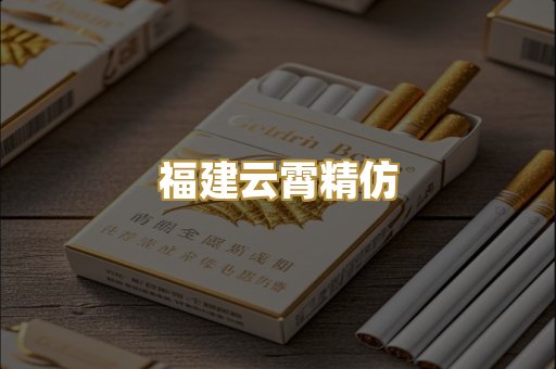 福建云霄精仿